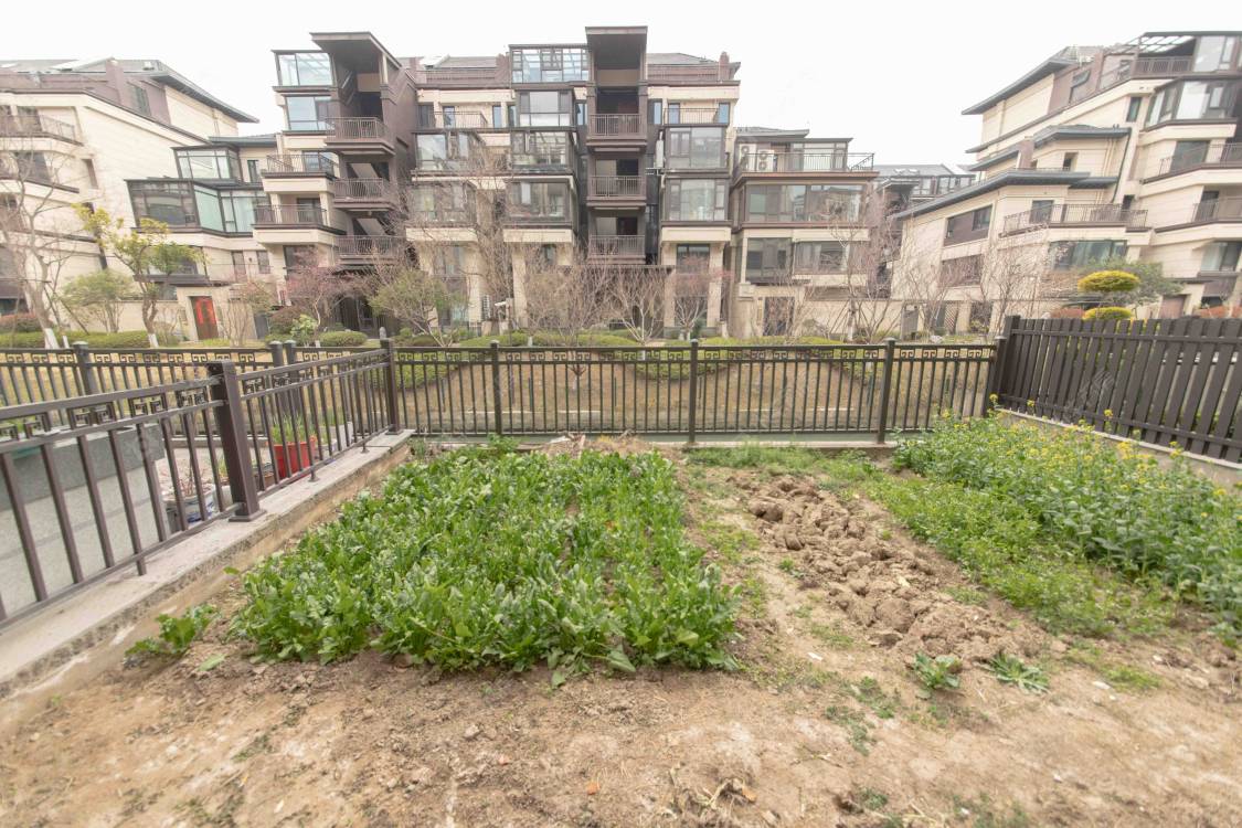 苏州建发御珑湾在售二手房源室内图_小牛看房