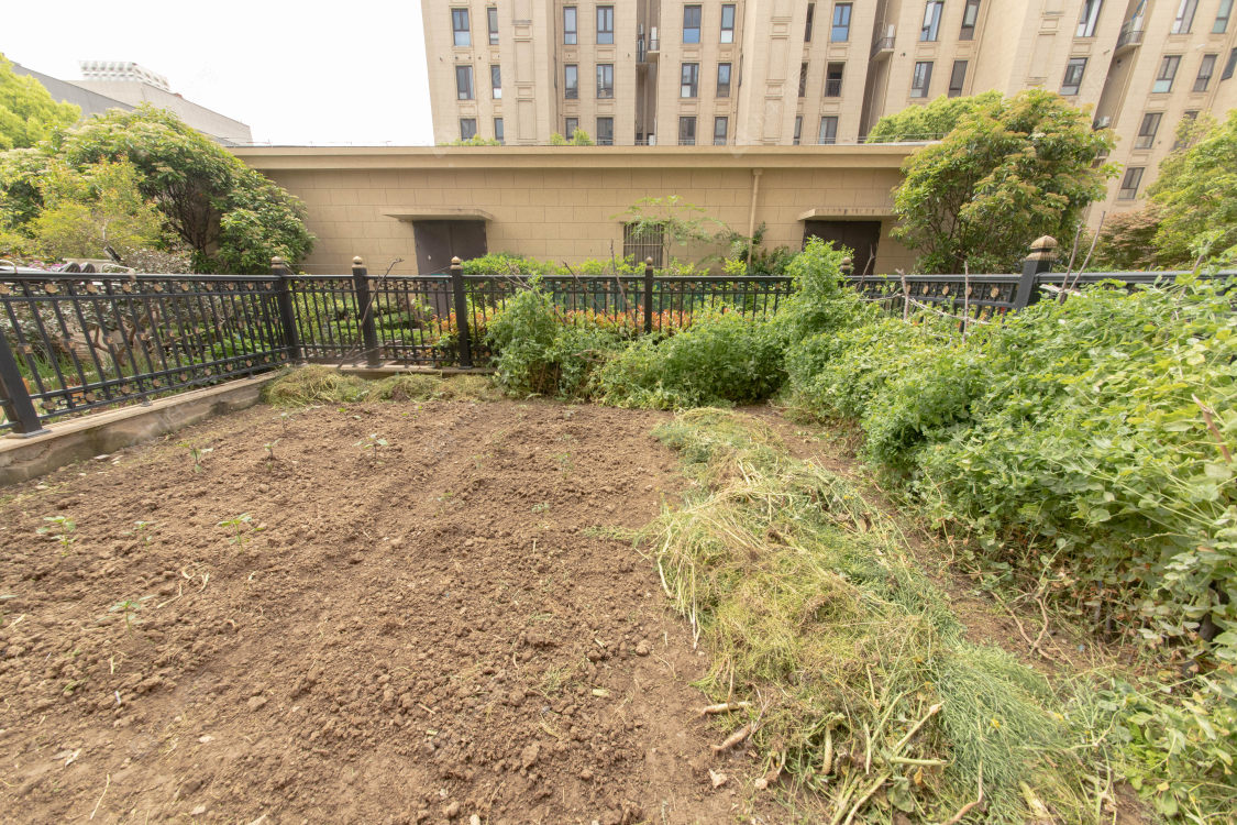 苏州碧桂园天玺在售二手房源室内图_小牛看房