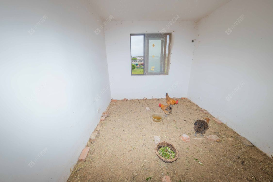 苏州新乘北苑四期在售二手房源室内图_小牛看房