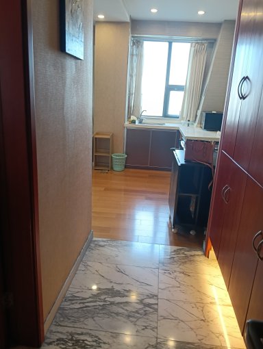 苏州派克酒店式公寓租房_小牛看房