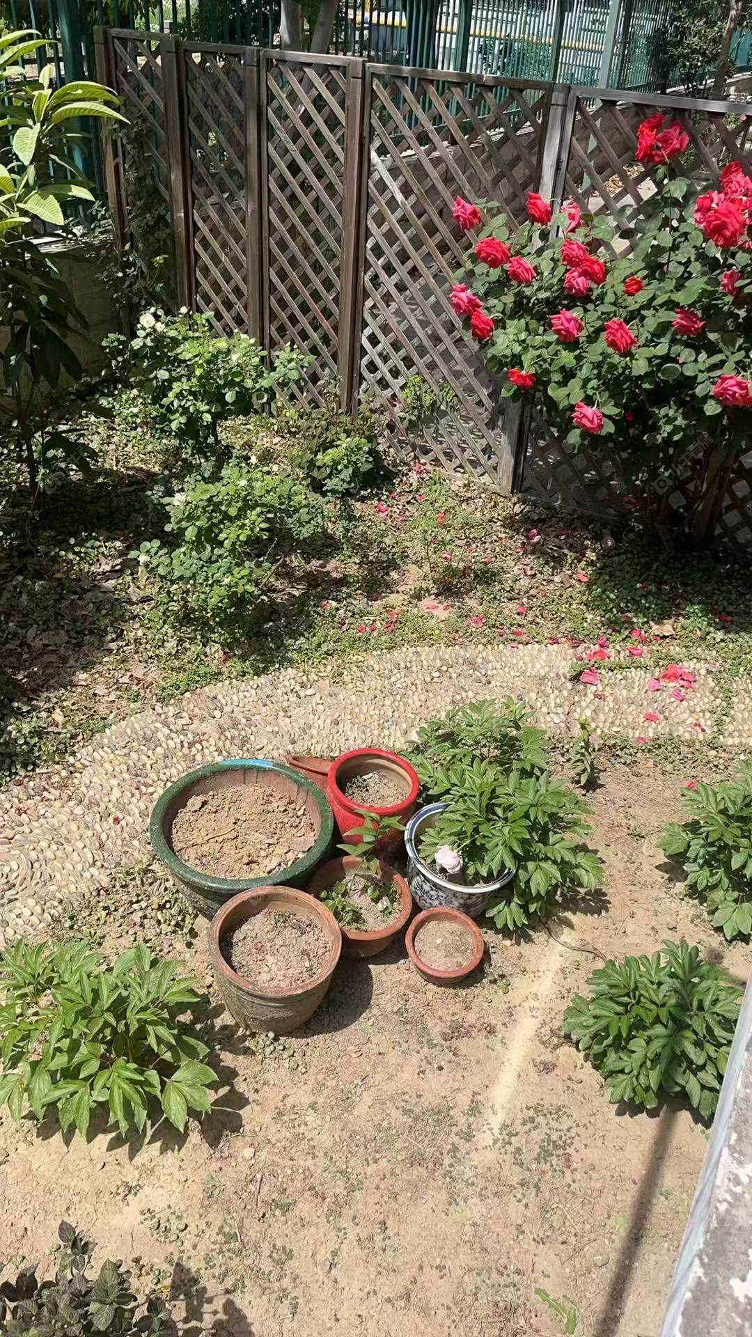 苏州文锦雅墅在售二手房源室内图_小牛看房