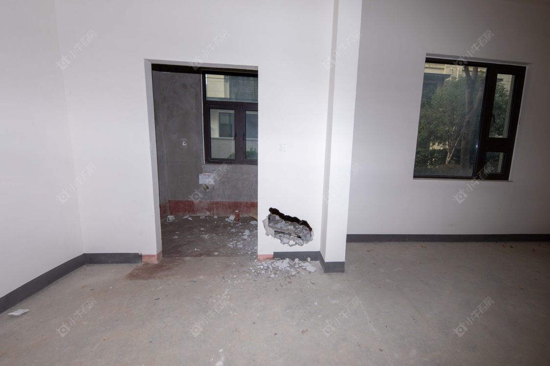 苏州世茂九溪墅(别墅)在售二手房源室内图_小牛看房